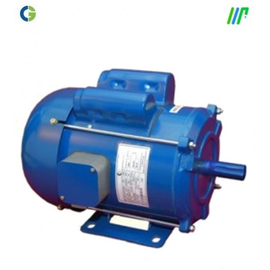 Single phase shop motor price